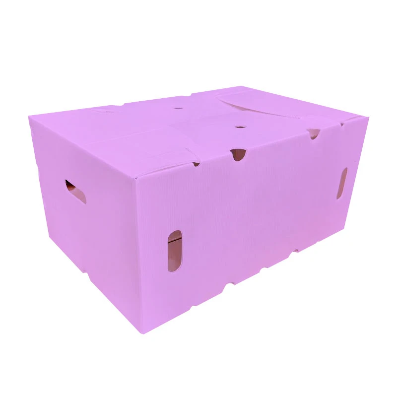 Aufbewahrungsbox aus Polypropylen
