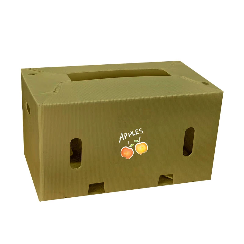 PP-Schutzbox